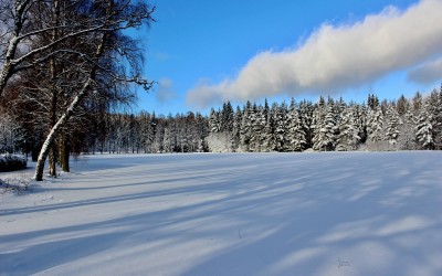 5. ročník Šumavské 30